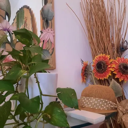 Гостевой дом Passa Parola 4*