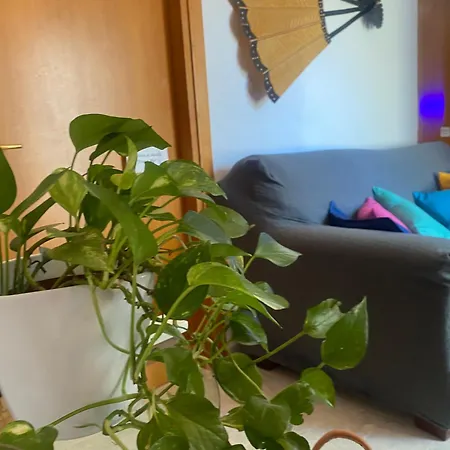 Passa Parola Affittacamere Olbia