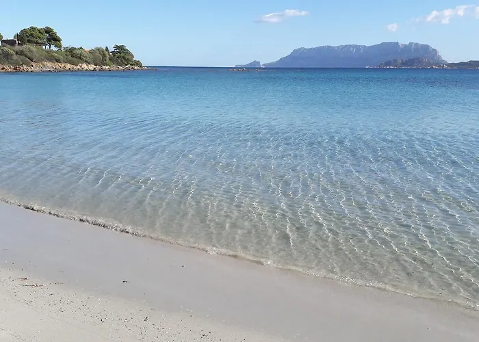 Konukevi Passa Parola 4*