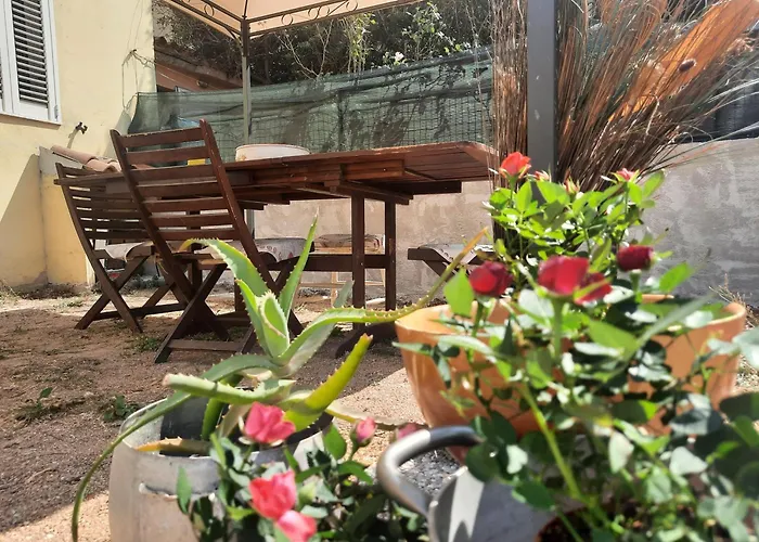 게스트하우스 Passa Parola